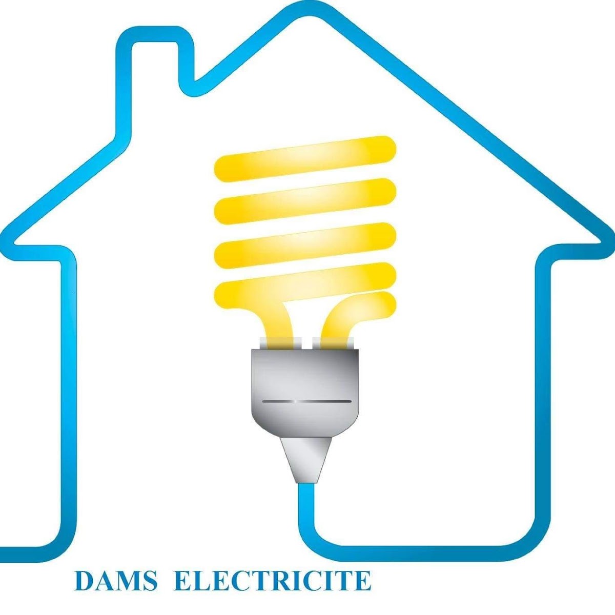 Dams Electricité - photo 2